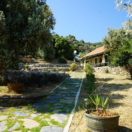 Elpida Country House -Paleochora-Anidri Esterno foto